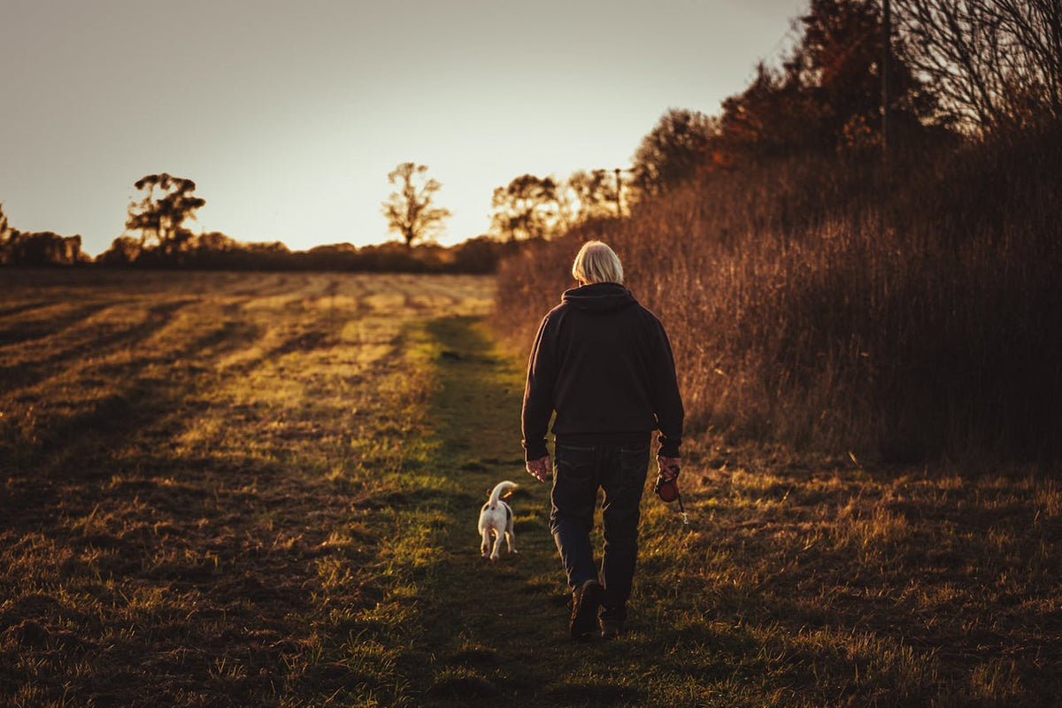 A man walking his dog on a dirt path at sunset